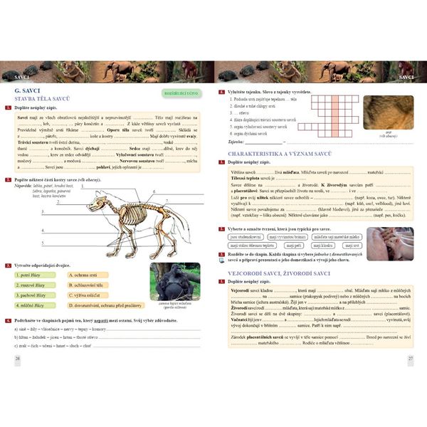 Přírodopis 7 - Zoologie a botanika - pracovní sešit, Čtení s porozuměním
