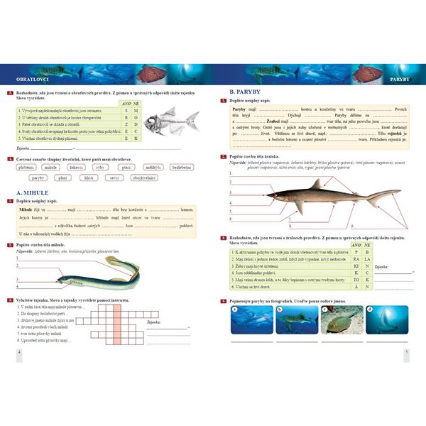 Přírodopis 7 - Zoologie a botanika - pracovní sešit, Čtení s porozuměním