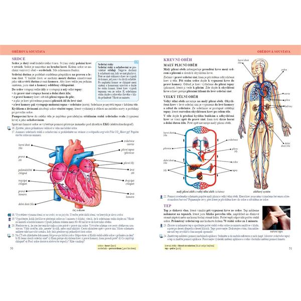Přírodopis 8 - Savci a člověk, Čtení s porozuměním - učebnice