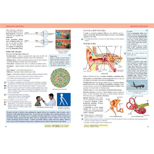 Přírodopis 8 - Savci a člověk, Čtení s porozuměním - učebnice