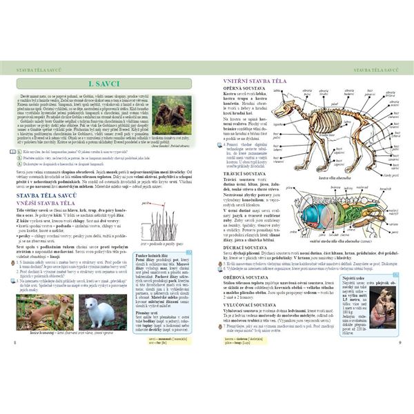 Přírodopis 8 - Savci a člověk, Čtení s porozuměním - učebnice