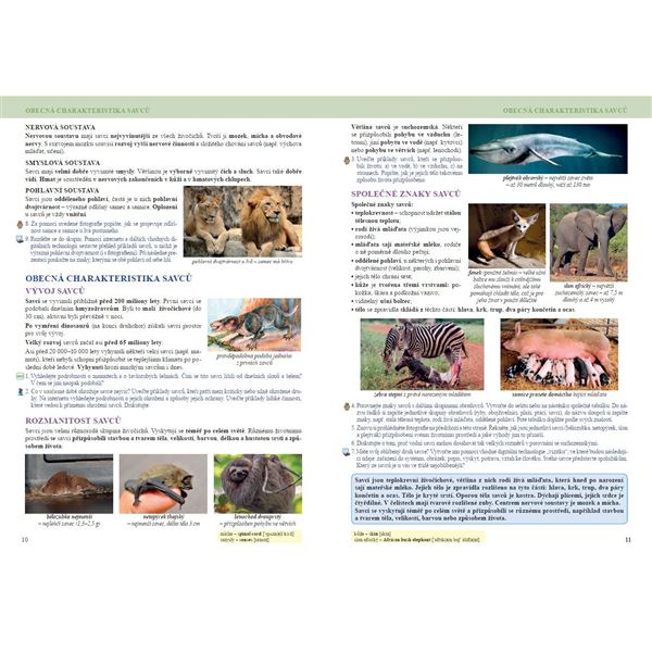 Přírodopis 8 - Savci a člověk, Čtení s porozuměním - učebnice