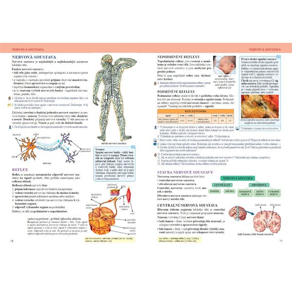 Přírodopis 8 - Savci a člověk, Čtení s porozuměním - učebnice
