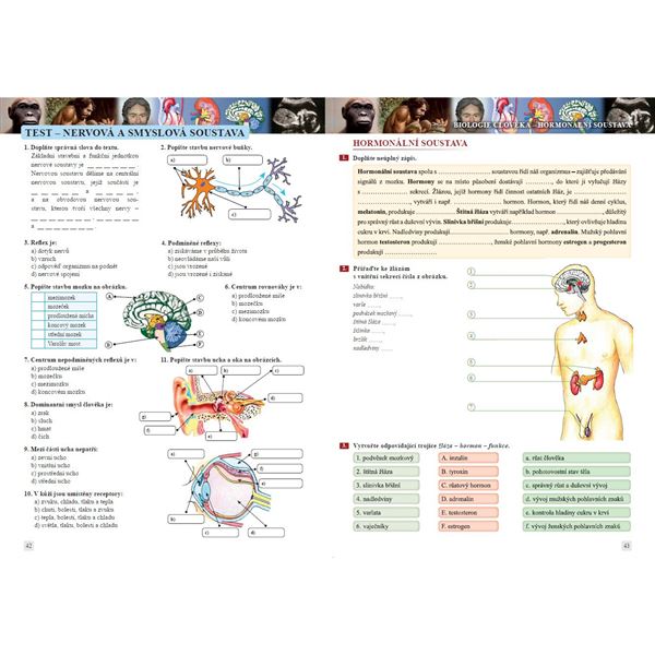 Přírodopis 8 - Savci a člověk - pracovní sešit, Čtení s porozuměním