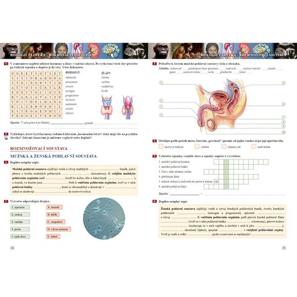 Přírodopis 8 - Savci a člověk - pracovní sešit, Čtení s porozuměním