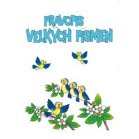 Pravopis velkých písmen - procvičovací sešit pro 6.ročník ZŠ