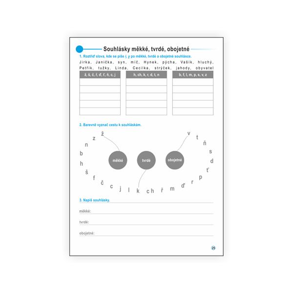 Český jazyk 2 - pracovní učebnice