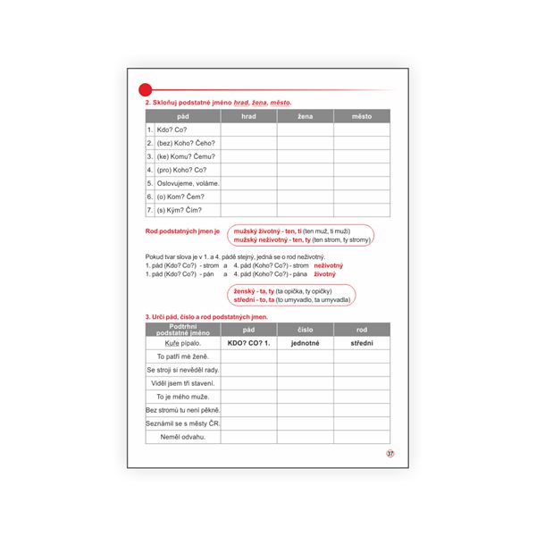 Český jazyk 4 - pracovní učebnice