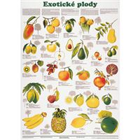 Exotické plody - plakát