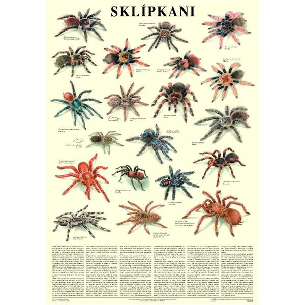 Sklípkani - plakát