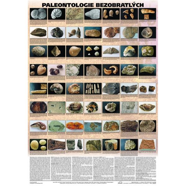 Paleontologie bezobratlých - plakát