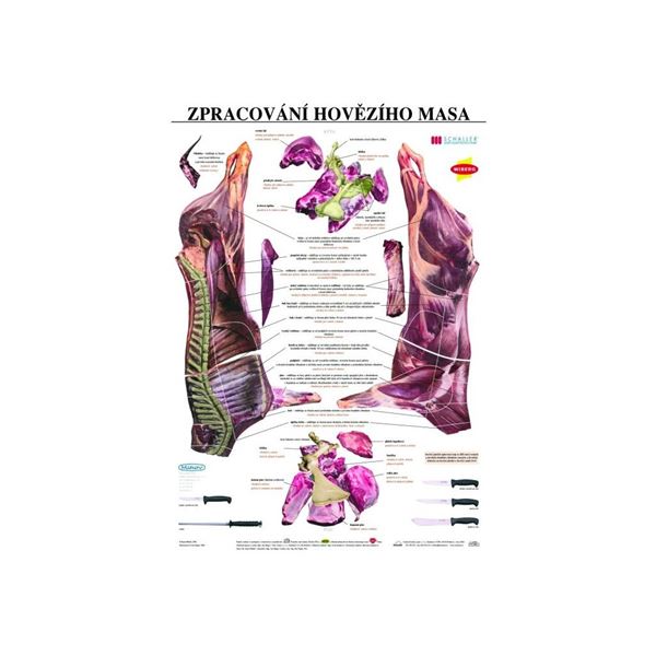 Zpracování hovězího masa - plakát