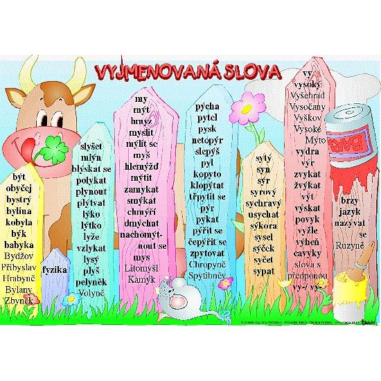 Vyjmenovaná slova - karta s učivem pro 3. ročník (A4)