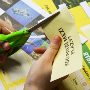 Lapbook - Prvouka: Živočichové - pro 3. ročník