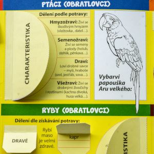 Lapbook - Prvouka: Živočichové - pro 3. ročník