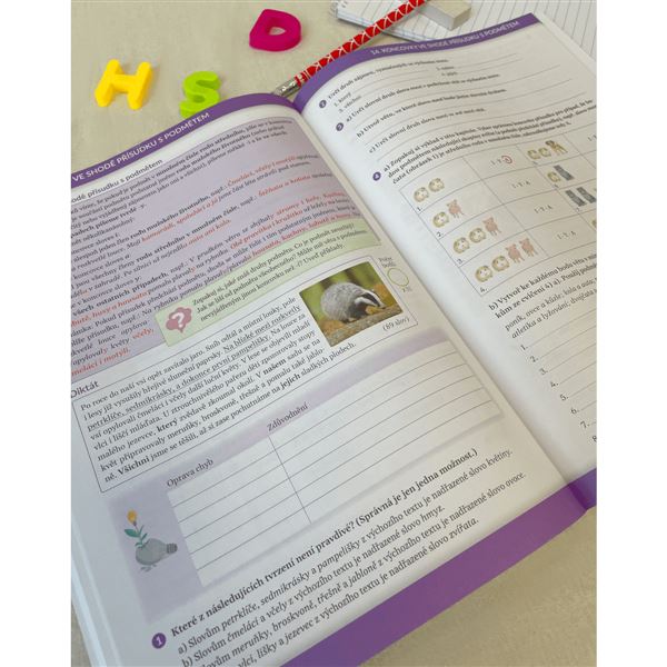 Diktáty, testy a hry pro 7. ročník