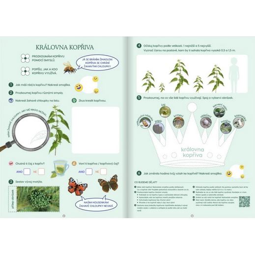 Prvouka 1. ročník / 2. díl